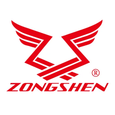 Двигатель бензиновый Zongshen ZS 190 FE 1T90QW902 — Zongshen