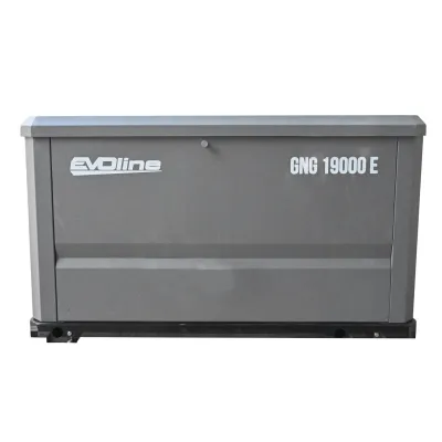 Генератор газовый EVOline GNG 19000 E GNG19000E —
