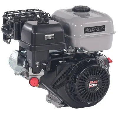 Двигатель бензиновый EVOline GB 460 1T90QW463EVO —