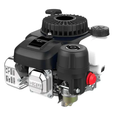 Двигатель бензиновый EVOline NP 100 1T90QW100EVO —