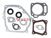 Комплект прокладок С САЛЬНИКАМИ для 168F, VEBEX